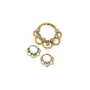 Piercing Anneau - Titane Pvd Gold - Anneau clicker 162 avec fermeture à charnière - 3 coloris