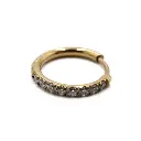 Piercing Anneau - Acier Gold - Anneau clicker 149 avec fermeture à charnière et strass*