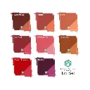 Pigment Pmu - Ever After - Set de 8 pigments pour l'entraînement au maquillage permanent lèvres non reach 8 x 15 ml*