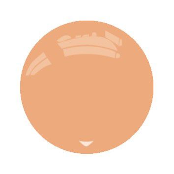 ETERNAL MUTED EARTHTONE INK - PEACHY FLESH