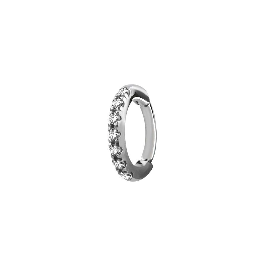 Anneau Acier 09 - Anneau à charnière en acier 316L clicker roock zirconia
