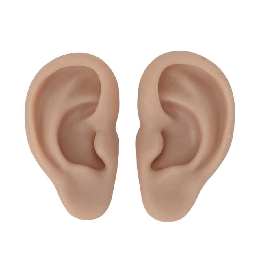 Présentoir pour Bijoux de Perçage pour Oreilles en Silicone