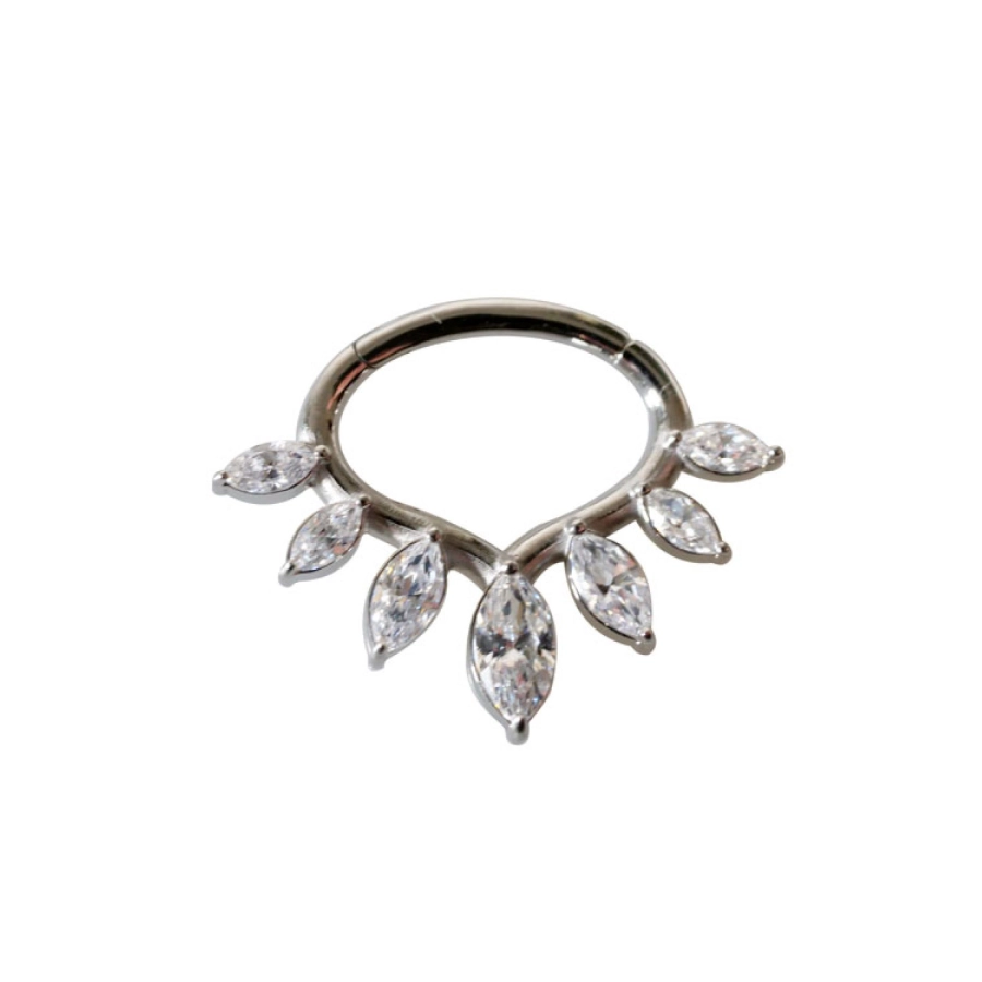 Piercing Anneau - Acier - Anneau clicker 119 avec fermeture à charnière 