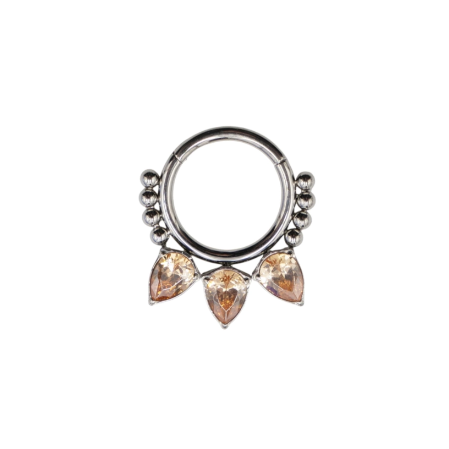 Piercing Anneau - Titane - Anneau clicker 311 avec fermeture à charnière - 2 coloris