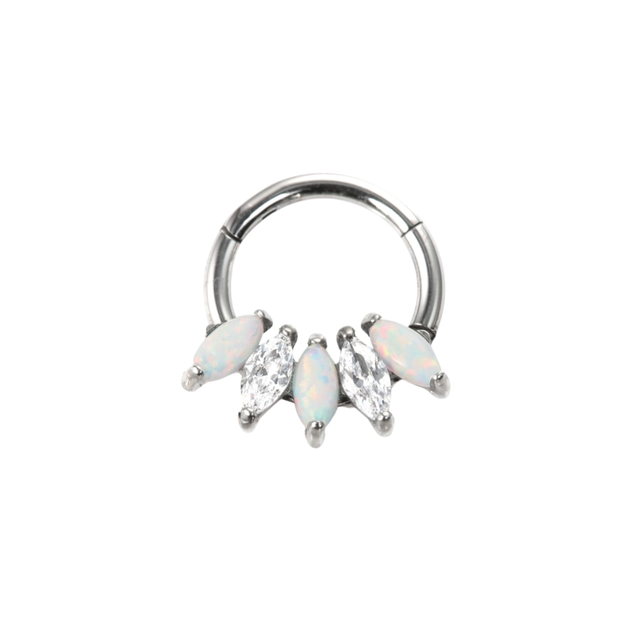 Piercing Anneau - Titane - Anneau clicker 302 avec fermeture à charnière