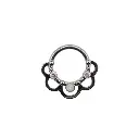 Piercing Anneau - Titane - Anneau clicker 301 avec fermeture à charnière - 3 coloris