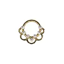 Piercing Anneau - Titane Pvd Gold - Anneau clicker 162 avec fermeture à charnière - 3 coloris
