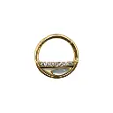 Piercing Anneau - Titane Pvd Gold - Anneau clicker 159 avec fermeture à charnière - 2 coloris
