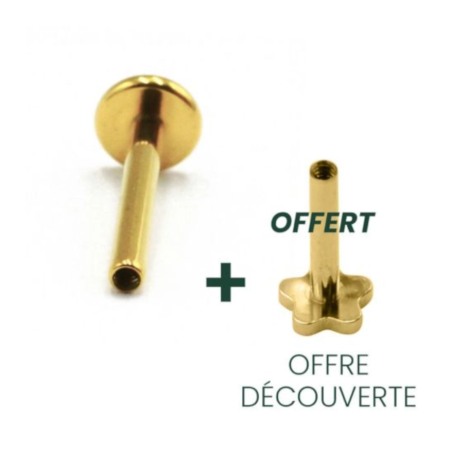 Labret Stérile Interne Gamme Itc Pvd Gold - Piercing avec pas de vis interne labret seul