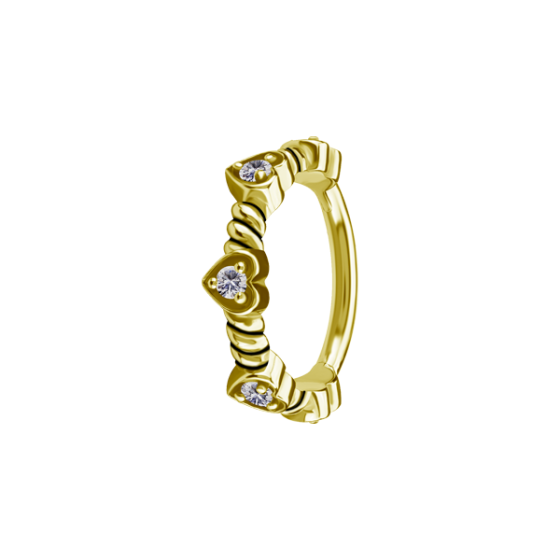 Piercing Anneau - Acier 316L Gold - Anneau avec fermeture à charnière