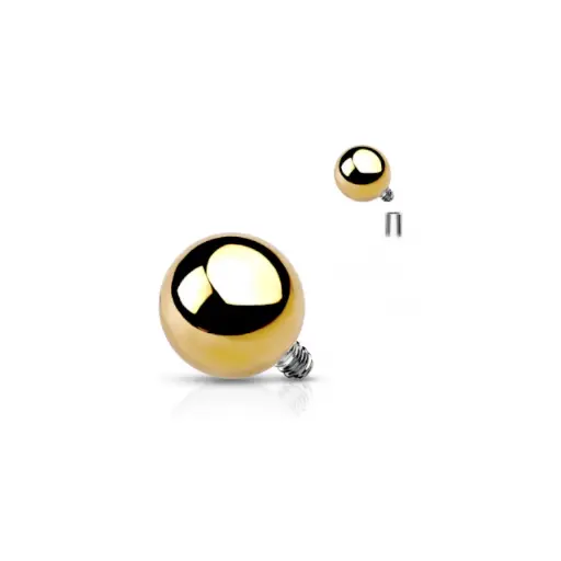 [ak_BGTIBALLN3_bille_titane_gold_vissage_interne-1] BILLE TITANE GOLD VISSAGE INTERNE