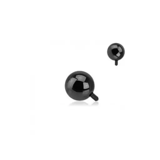[ak_BKTIBALLN3_bille_titane_black_vissage_interne] BILLE TITANE BLACK VISSAGE INTERNE