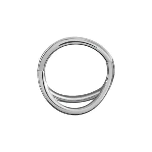 [p_anneau_acier_14-BHR02] Piercing Anneau - Acier 316L - Clicker avec fermeture à charnière 1,2 x 8 mm*