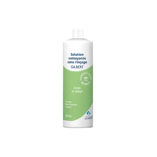 [i_savon_gilbert-ZG035] Savon tattoo - Gilbert - Solution Nettoyante sans rinçage formule haute tolérance cutanée* 