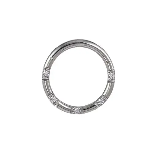 Piercing Anneau - Acier - Anneau clicker 143 avec fermeture à charnière 