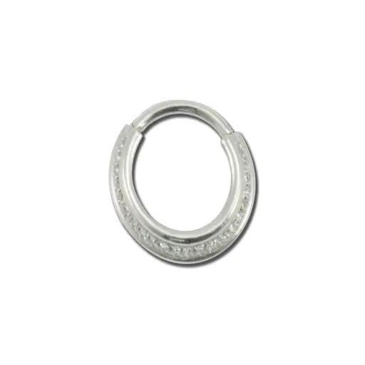 Piercing Anneau - Acier - Anneau clicker 209 avec fermeture à charnière