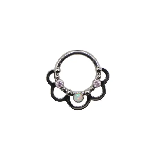 Piercing Anneau - Titane - Anneau clicker 301 avec fermeture à charnière - 3 coloris