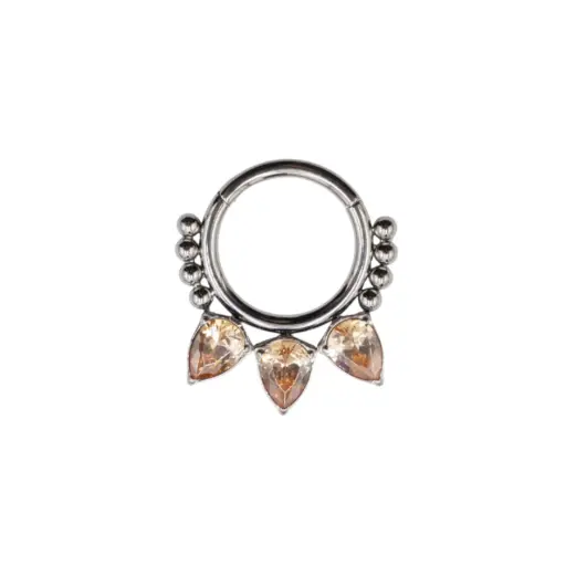 Piercing Anneau - Titane - Anneau clicker 311 avec fermeture à charnière - 2 coloris
