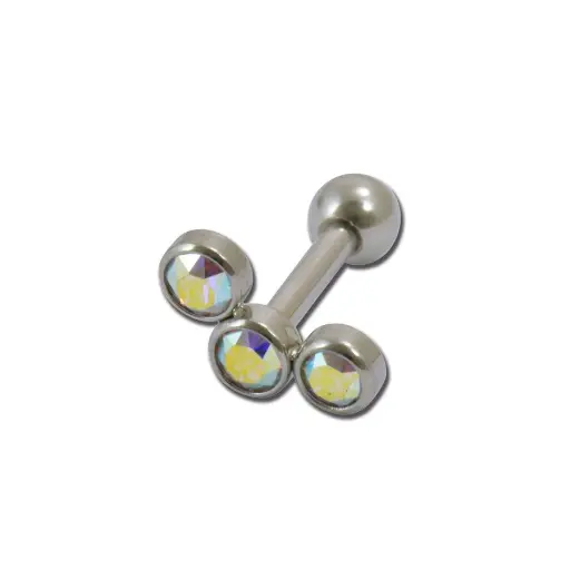 Piercing Barbell - Acier - Barbell 208