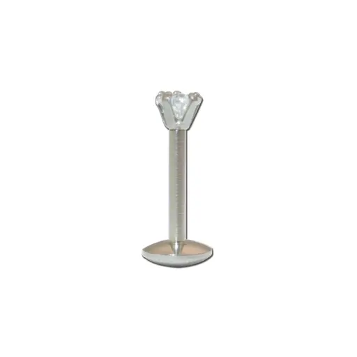 Piercing Labret - Acier - Labret avec pas de vis interne 162