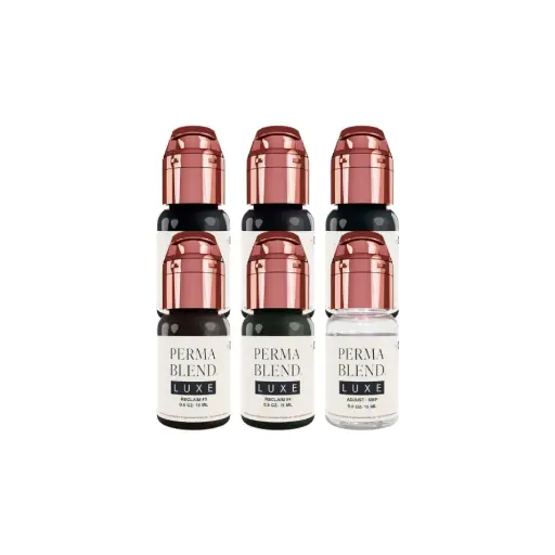 Set Pigment Pmu - Perma Blend Luxe - Set Stevey G. Reclaim - Melange pour le maquillage permanent REACH 6 x 15 ml