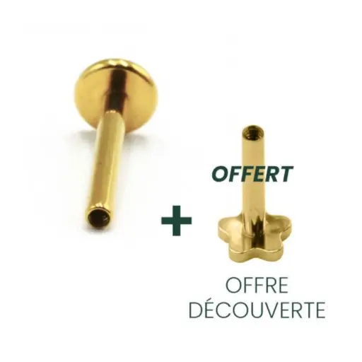 Piercing Labret - Titane Gold F136 Interne Stérile Gamme Onixium - Labret avec pas de vis interne seul*