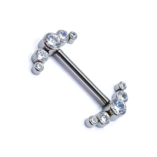 [i_barbell_stérile-STXC211.6X14] Piercing Barbell - Barbell Stérile Interne - Barbell en titane avec pas de vis interne motif 5 Strass en arc*