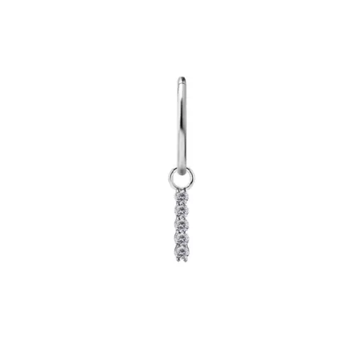 Piercing Anneau - Acier 316L - Anneau à charnière 30 avec accessoire (5 tailles)  