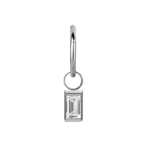 Piercing Anneau - Acier 316L - Anneau à charnière 34 avec accessoire (2 tailles)