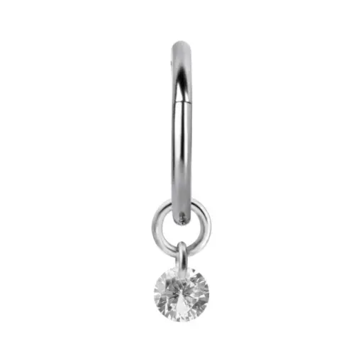 Piercing Anneau - Acier 316L - Anneau à charnière 10 avec accessoire (5 tailles)