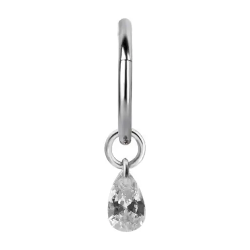 Piercing Anneau - Acier 316L - Anneau à charnière 09 avec accessoire (5 tailles) 