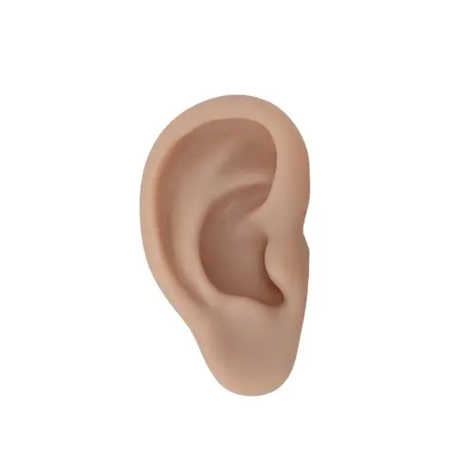 [ns_oreille_silicone-GJ-9] Entraînement Piercing - Oreille Silicone - Oreille seule pour l'entraînement au piercing*