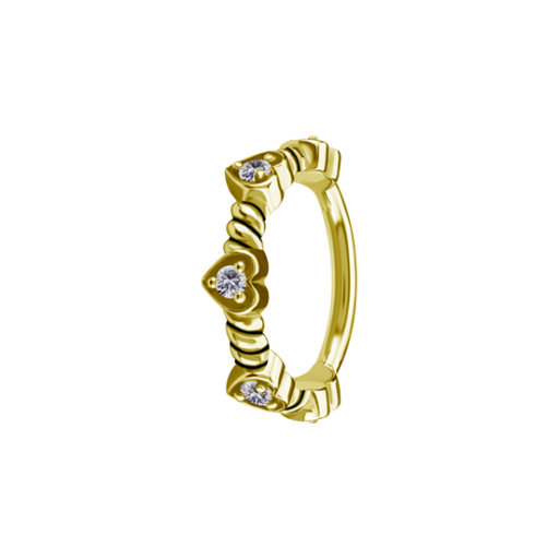 Piercing Anneau - Acier 316L Gold - Anneau avec fermeture à charnière