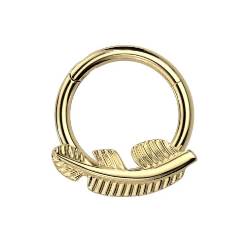 Piercing Anneau - Titane F136 Gold - Clicker 127 avec fermeture à charnière plume*